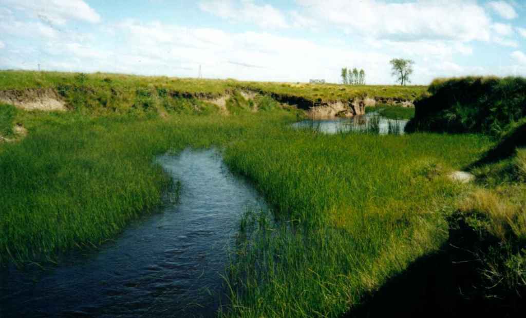 cidudad