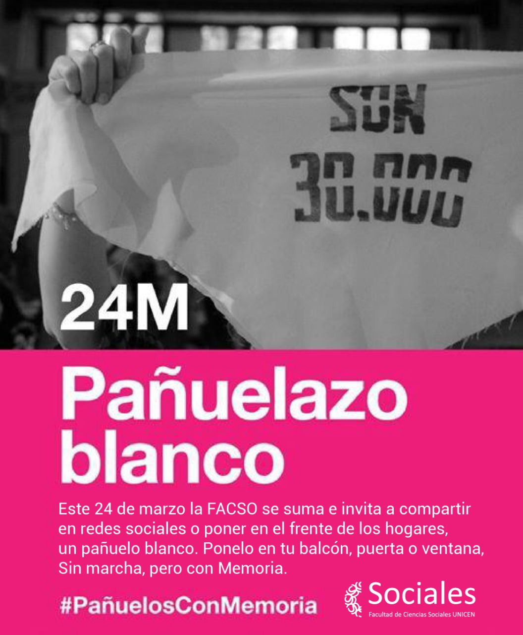 pauelazo