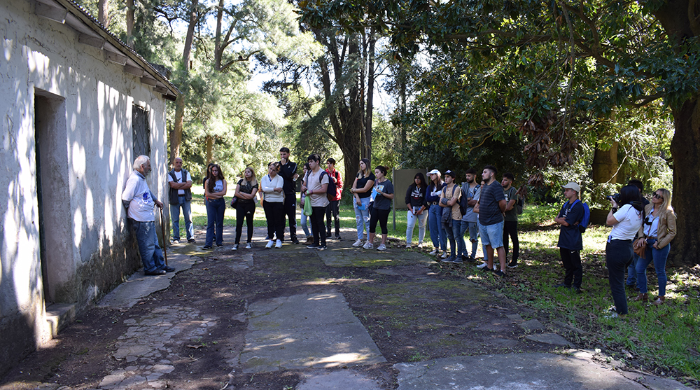monte3