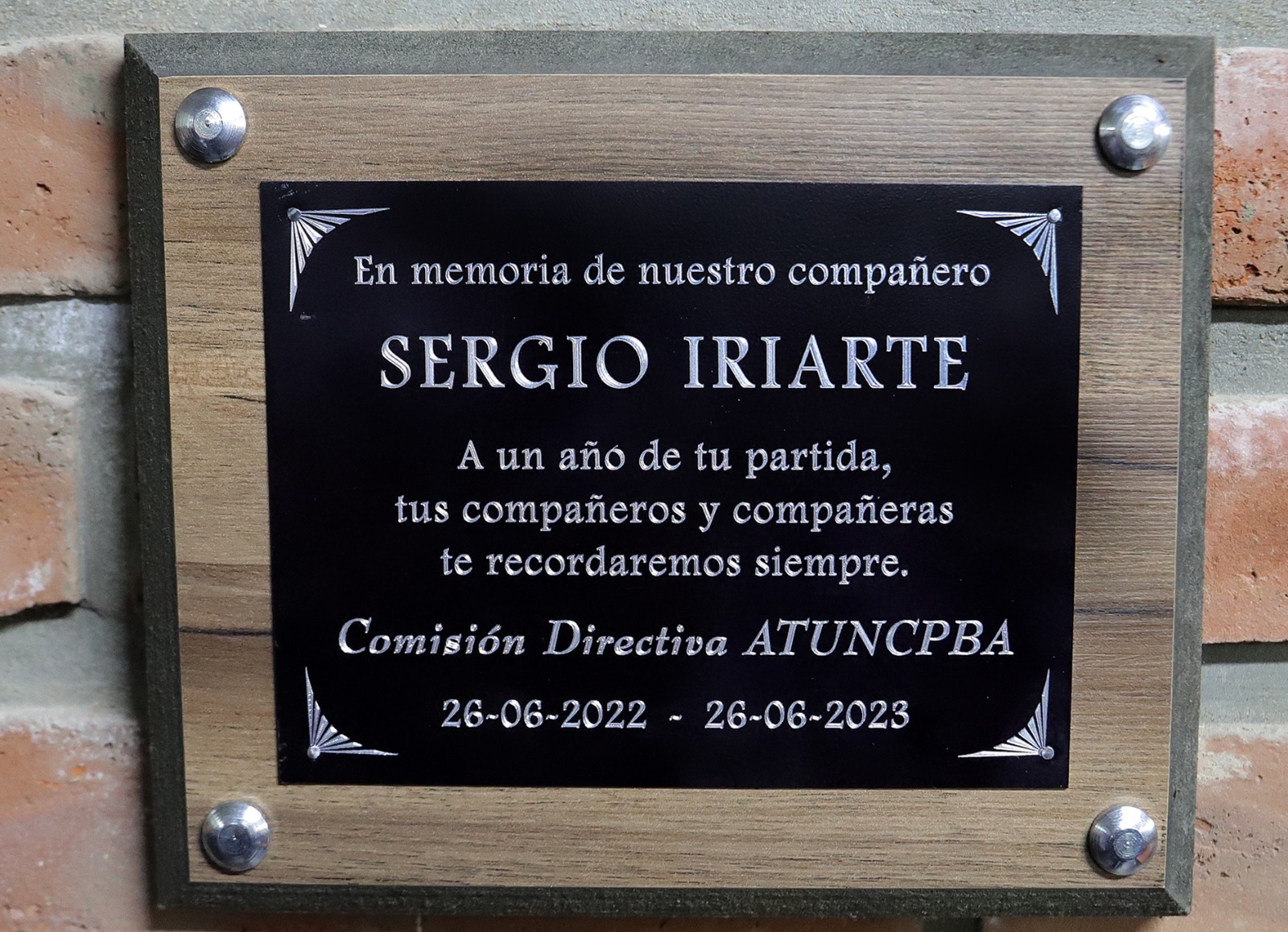 sergioint 1