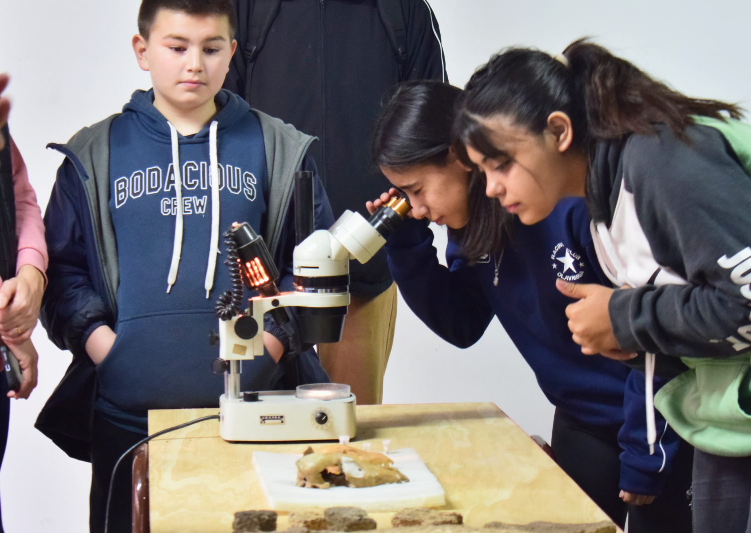 cienciasint 3