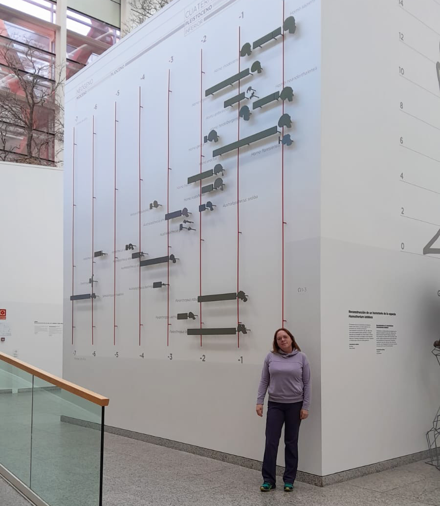 Museo de Evolución Humana en Burgos