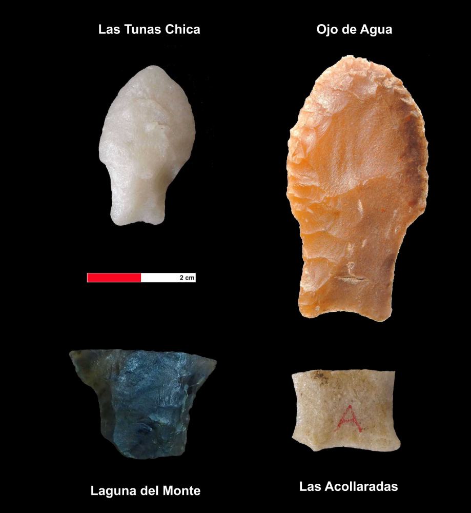 Puntas de proyectil con forma de cola de pez halladas en el Campo de Dunas del Centro Pampeano