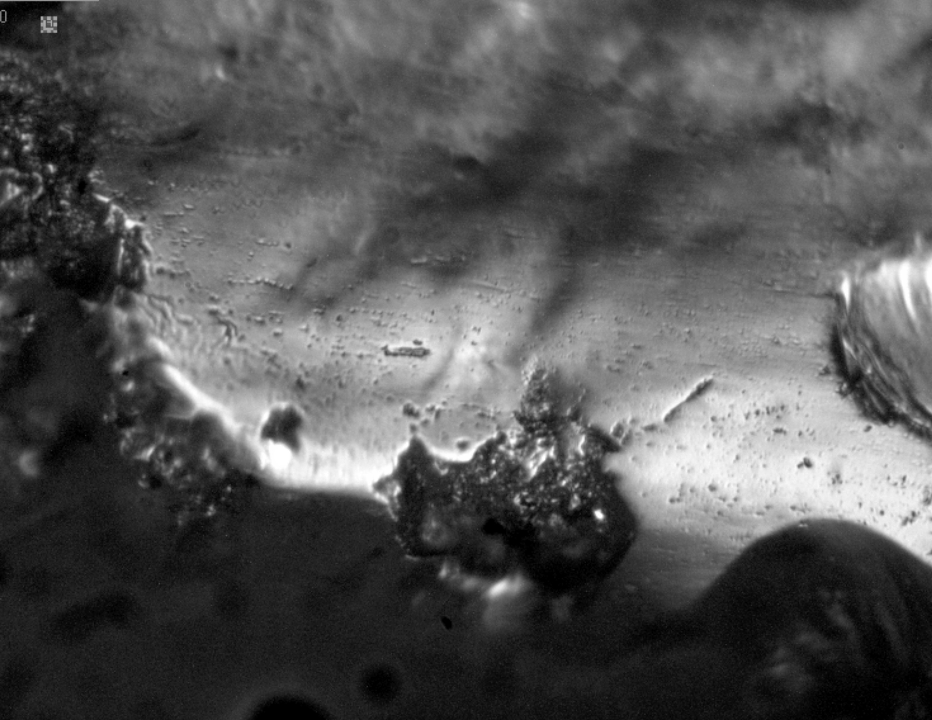 P4 P2D FT L M Imagen microscopio metalografico Rastro deuso aserrado de madera