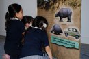 muestra 3