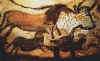 Lascaux (Francia), pinturas polcromas lineales y de cuerpo lleno de figuras zoomorfas de quidos y bvidos. Foto en internet, sin autor consignado.