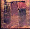 Lascaux (Francia), pinturas polcromas de cuerpo lleno de motivos geomtricos ("tectiformes"). Foto publicada en D. Vialou 1996. Our Prehistoric Past. Thames and Hudson. Londres. pp. 94.