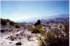 Paisaje del valle de Ampajango (prov. Catamarca, NW Argentina), campo con bloques rocosos, algunos de ellos con petroglifos. Foto DF.