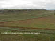 10_paisaje_de_las_sierras_de_curico.jpg (77428 bytes)