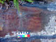 12_pinturas_rupestres.jpg (1002578 bytes)