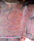 15_pinturas_rupestres.jpg (481636 bytes)