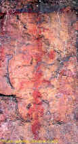 8_pinturas_rupestres.jpg (355758 bytes)