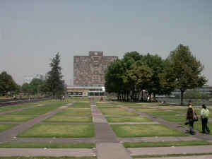 ajedrez_y_biblioteca.jpg (169328 bytes)