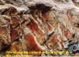 foto_4a_pinturas_rupestres_cueva_florencio.jpg (87096 bytes)
