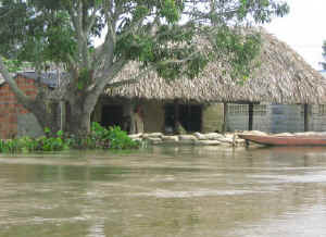 inundacion.jpg (35436 bytes)