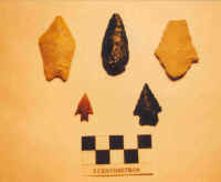 goni_figura_4.jpg (61475 bytes)