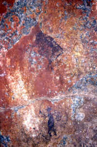 goni_figura_6.jpg (214754 bytes)