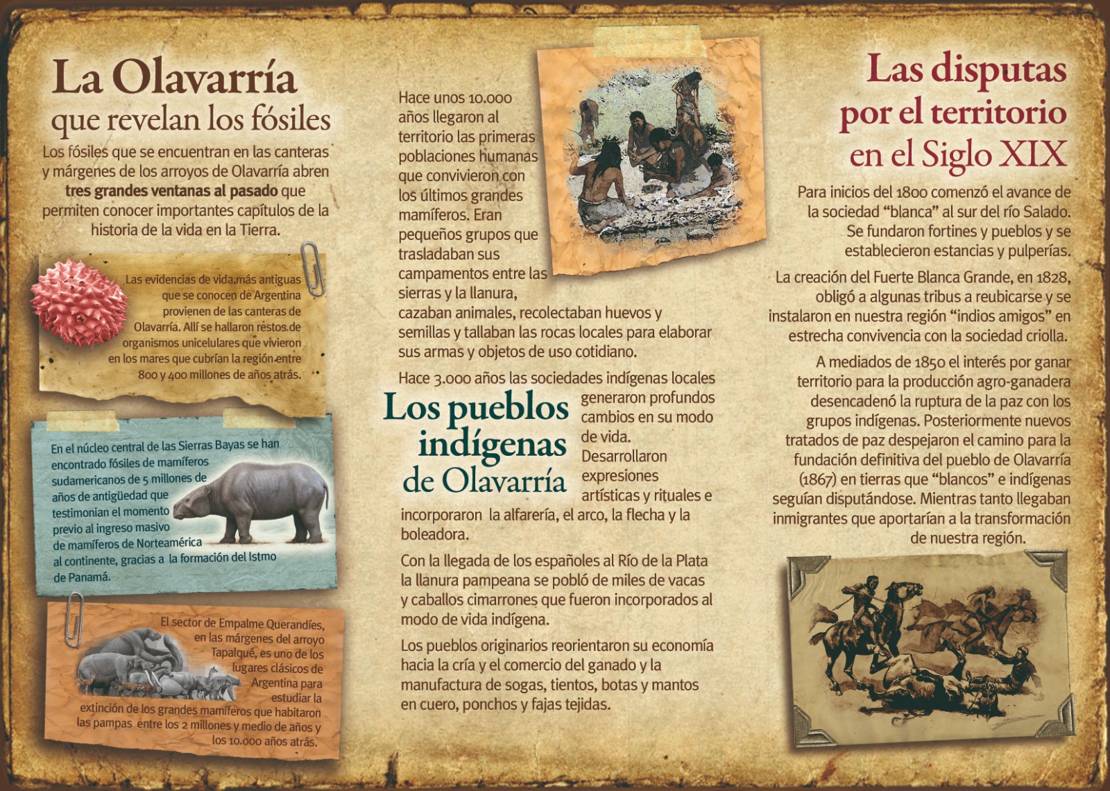 Foto 2. Triptico de la Muestra